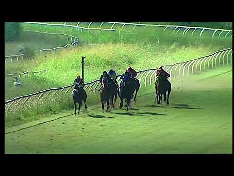 Napoli Galoppo 11/08/2021 - 6ª corsa