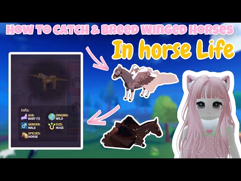 How to catch & breed WINGED HORSES in Horse Life! | Horse Life Roblox