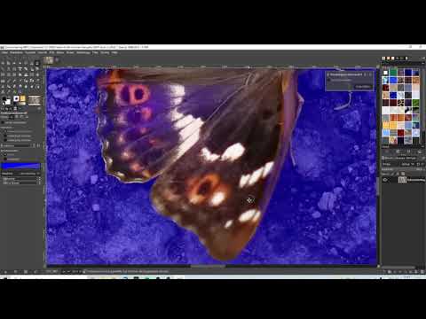 Gimp - Hintergrund entfernen ohne Gelaber und Werbung, kurz und bündig