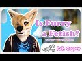 Is Furry A Fetish The Answer Isn T What You Think Yapping With Ash