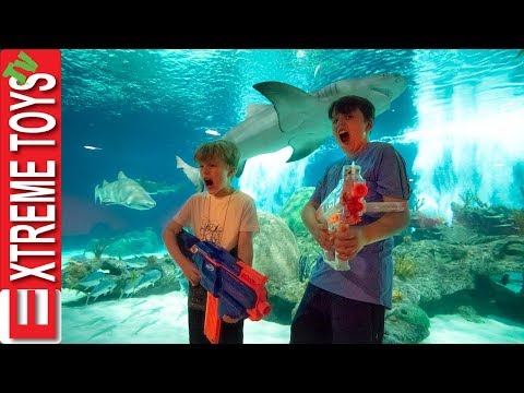 Teleport Trouble Part 2! Nerf Battle in the Aquarium! Video