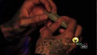 420 Exclusive - Wiz Khalifa shows how to roll a joint!