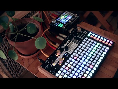 Recording Augeblink 15 with Synthstrom Deluge and Empress ZOIA
