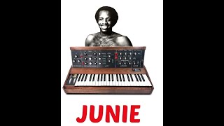 FUNKSTER'S  P VIEW THE ALGORHYTHM SUPER SPIRIT JUNIE MORRISON