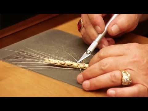 Scab or Head Blight on Winter Wheat