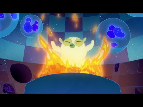 Fionna and Cake: Cosmic owl is back.