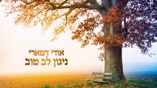 אודי דמארי - ניגון לב טוב (music prod. by udi damari)
