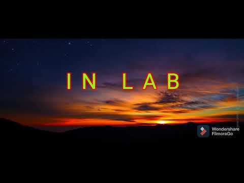 Inlab - tropavibes (lyrics vid