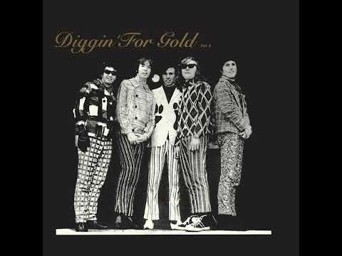 Le Bain DiDonc ⭐ 4 Cheveux Dans Le Vent ⭐VA~Diggin´For Gold, Volº 4   ((*1995*))