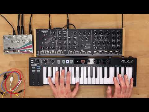 AnalogFX SER-2020 REV2.0 - Analog Formant Synthesizer - Based on the Synton Syrinx. image 6