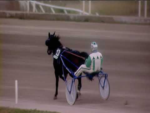 Trotto 31/12/2018 - 1ª corsa