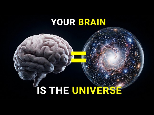 Your brain is the Universe