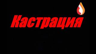 Кастрация