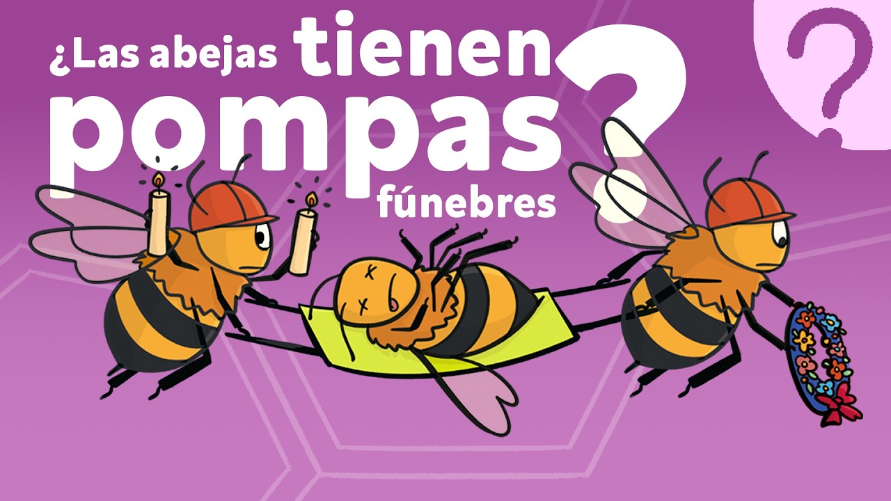 ¡5 Datos Increíbles sobre las Abejas! 🐝