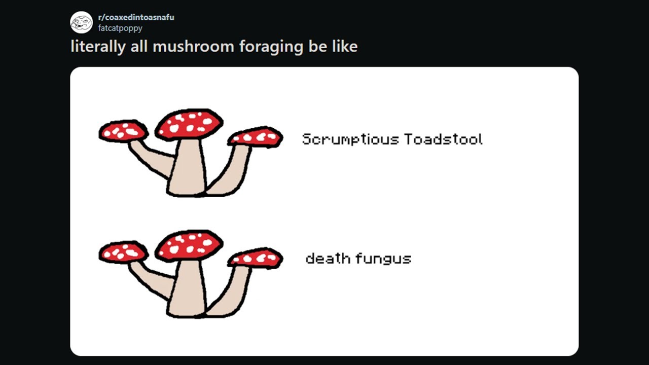 Mushroom foraging be like