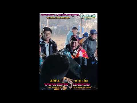 TONADA HIERBABUENA HOMENAJE A LA VIRGEN CANDELARIA CHARCANA LA UNION AREQUIPA