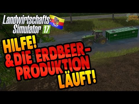 LS17 Nordfriesische Marsch #41 -Hilfe! Die Erdbeerproduktion läuft - Landwirtschaft Simulator 17