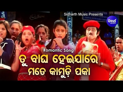 Tu Bagha Hei Jaa Re Mate Kamudi Paka - Masti Film Song ତୁ ବାଘ ହେଇଯାରେ | Sanghamitra & Bibhu Kishore