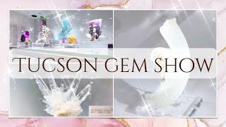 【天然石】ツーソンジェム&ミネラルショー2025 ⑤ | Main Show