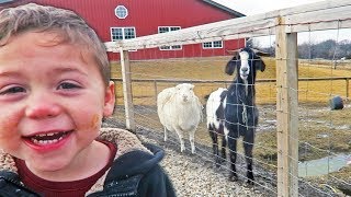 Went all the way to Amish Country for THIS