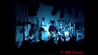 Rat Cat Yes I Wanna Go LIVE