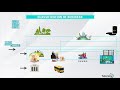 Stages Of Economic Activity
