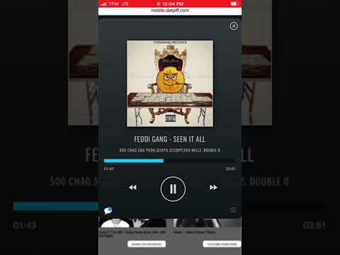 Feddi Gang - Seen it All