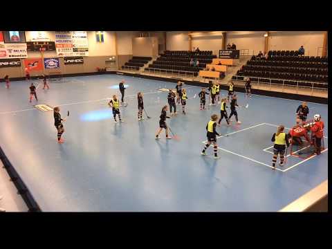 Örnsköldsvik IBK - IBF Dalen Dam