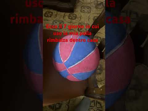 Io che oggi ho fatto dei video dentro casa con la mia palla rimbalza