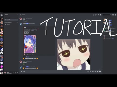Mudae Tutorial Final Exam