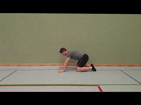 Katze-Kuh-Kind-Kobra