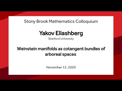 Weinstein manifolds as cotangent bundles of arboreal spaces - Yakov Eliashberg