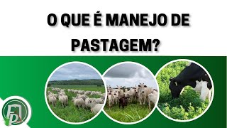 O QUE É MANEJO DE PASTAGENS?