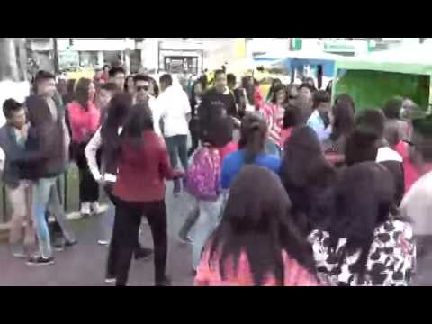 PELEA PARQUE AYORA AC