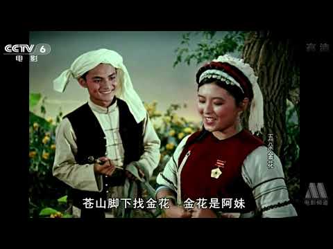 周霹岑七朵花