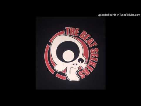 The Beat Seekers - Mono Into Stereo