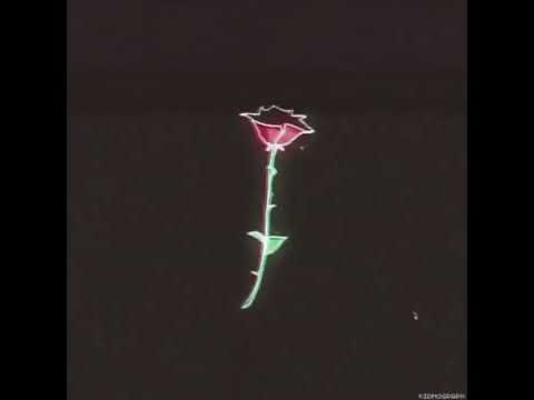 Ahmed Mekky - Aghla Men Al Yaqout (slowed + reverb) احمد مكي - اغلى من الياقوت