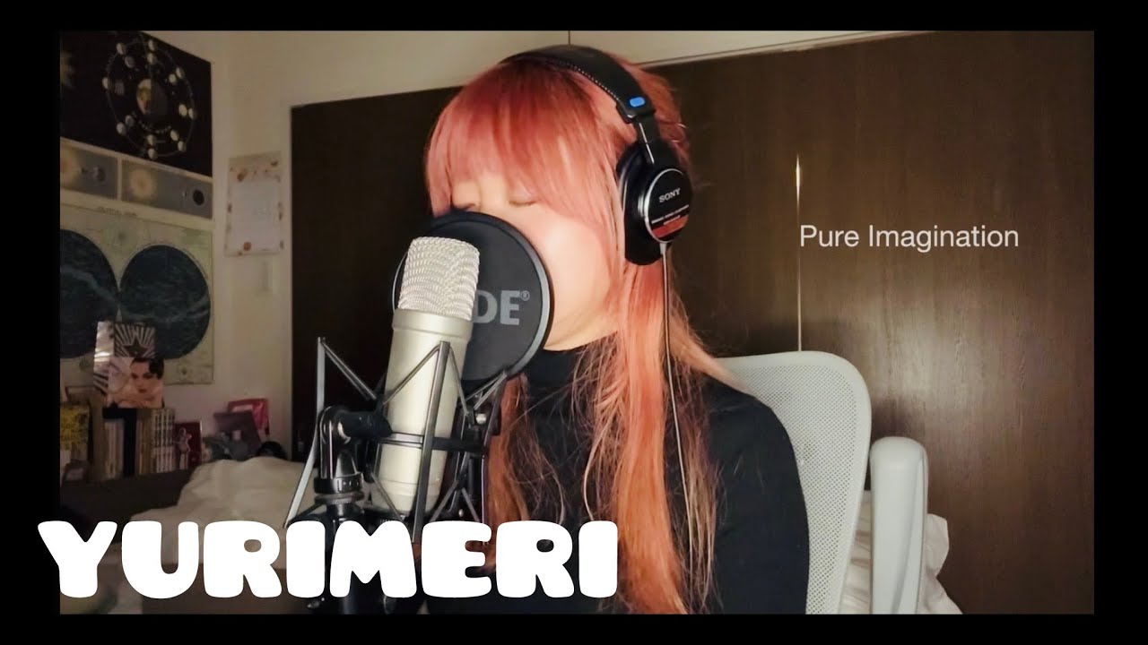 Pure Imagination | Willy Wonka & the Chocolate Factory |