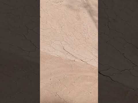 My cute si bhatiji Nimra (.Dogi ) ko marte hui bhout hi Jayda presaan kr raha tha