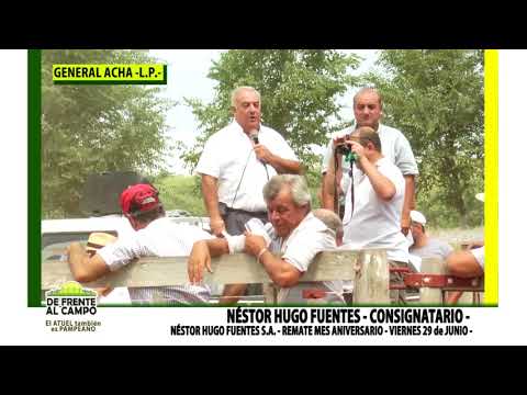 174   NÉSTOR FUENTES