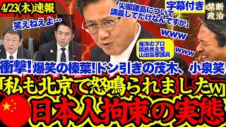 【衝撃実態】国民民主山田吉彦議員の最強エピソードにドン引きする茂木小泉w【国民民主党/自民党/日本人拘束/オーバーツーリズム/榛葉賀津也/武器輸出】