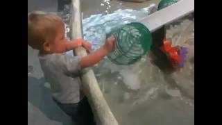 faze tari faza comica copil - galeata