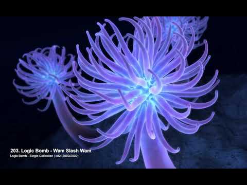 Logic Bomb - Wam Slash Wam