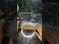 Parte1 Salsicha Salsichacaseira Receitas Version Ganhodepeso