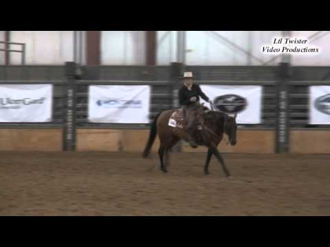 Denice Fox & Angelena Del Cielo - Amateur Ranch Riding at 2015 AQHA Region 2 Championship show