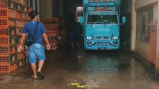 Download lagu Truk muatan ayam mbois mp3