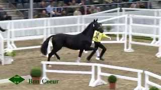 Video of Bon Coeur