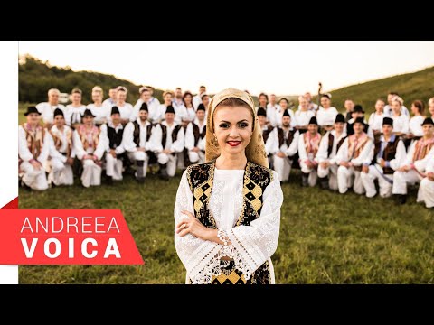 Andreea Voica - Colaj Brauri (Cover Andreea Voica)