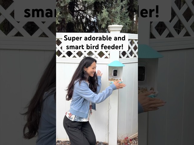 Vídeo relacionado con birdsnap PAV-Comedero para pájaros con cámara, 2K HD con tarjeta de 64 GB, panel solar inteligente de identificación de inteligencia artificial, transmisión en vivo, detección de movimiento, grabación