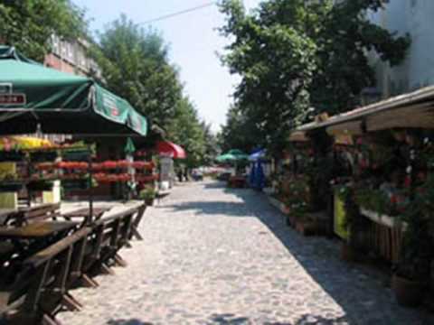 nidza bleja - jedan zivot jedan grad